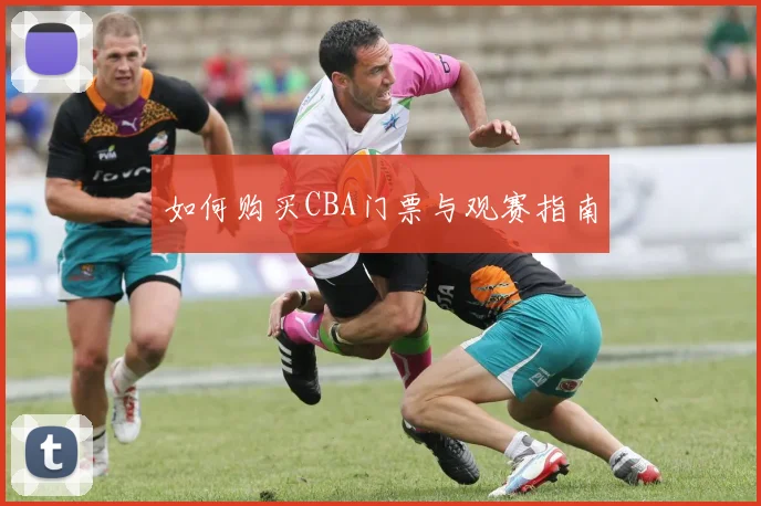 如何购买CBA门票与观赛指南