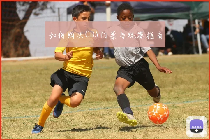 如何购买CBA门票与观赛指南