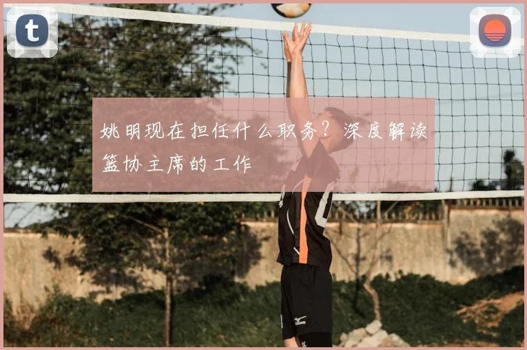 姚明现在担任什么职务？深度解读篮协主席的工作